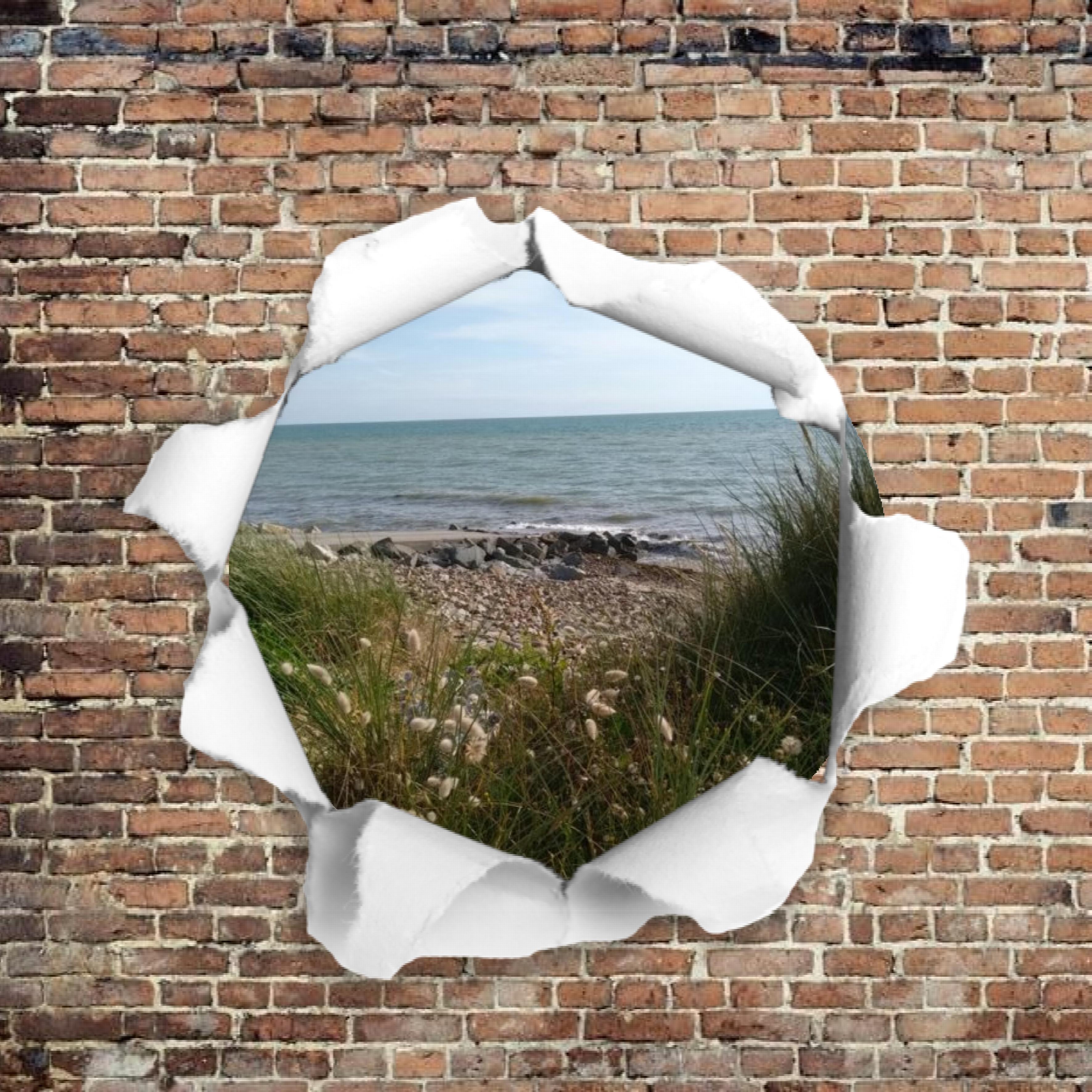 05.10. déchiré.jpg