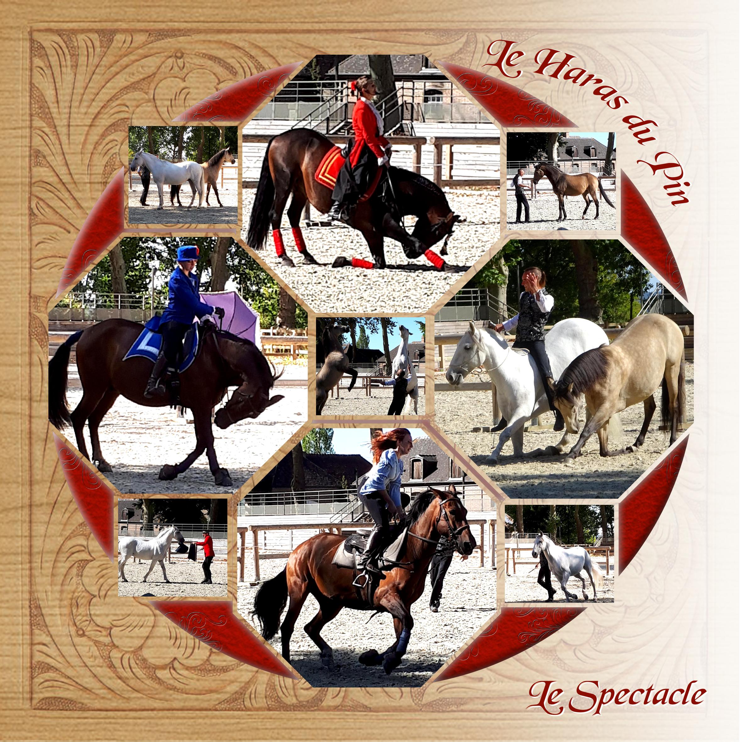 05 Le Haras du Pin.jpg