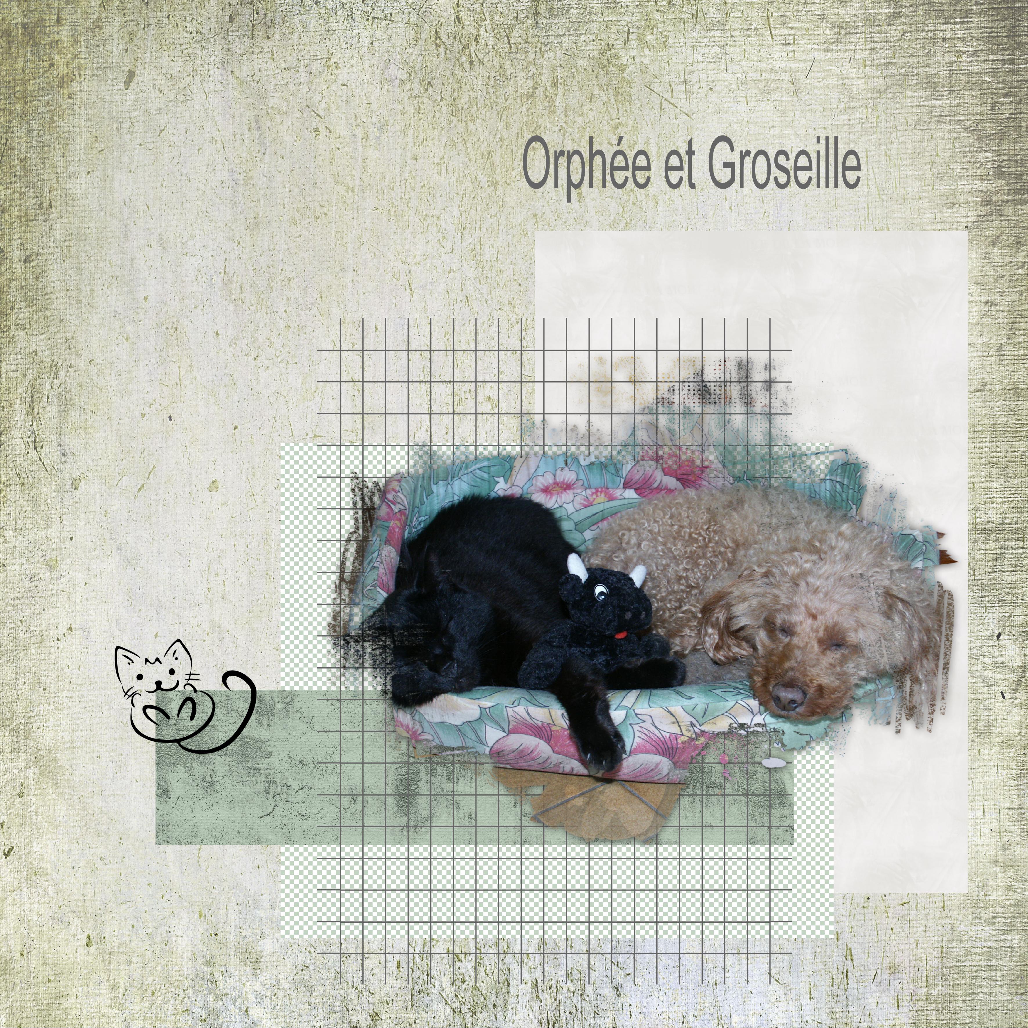 06 Animaux de compagnie (page 2).jpg