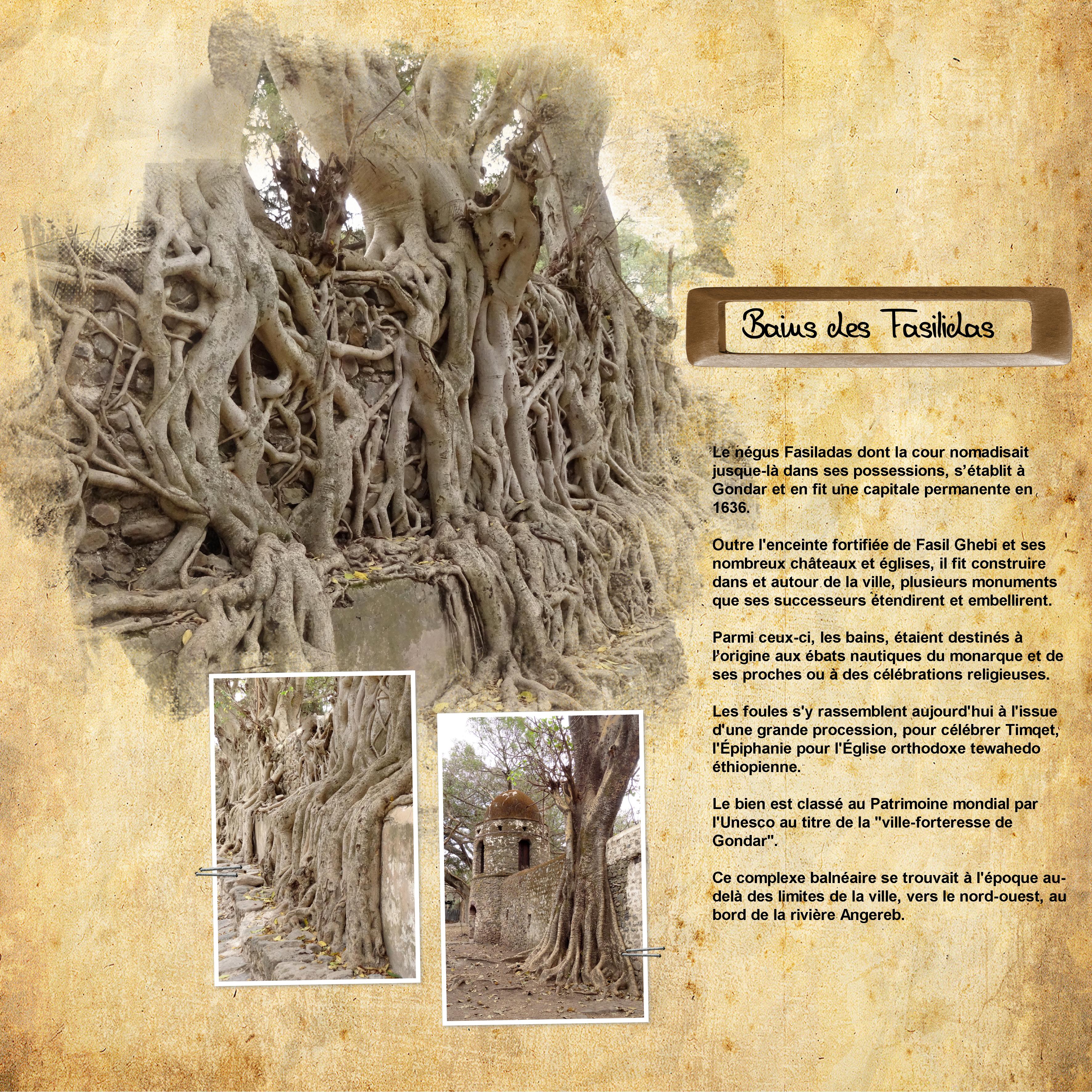 07 Racines (page 3).jpg