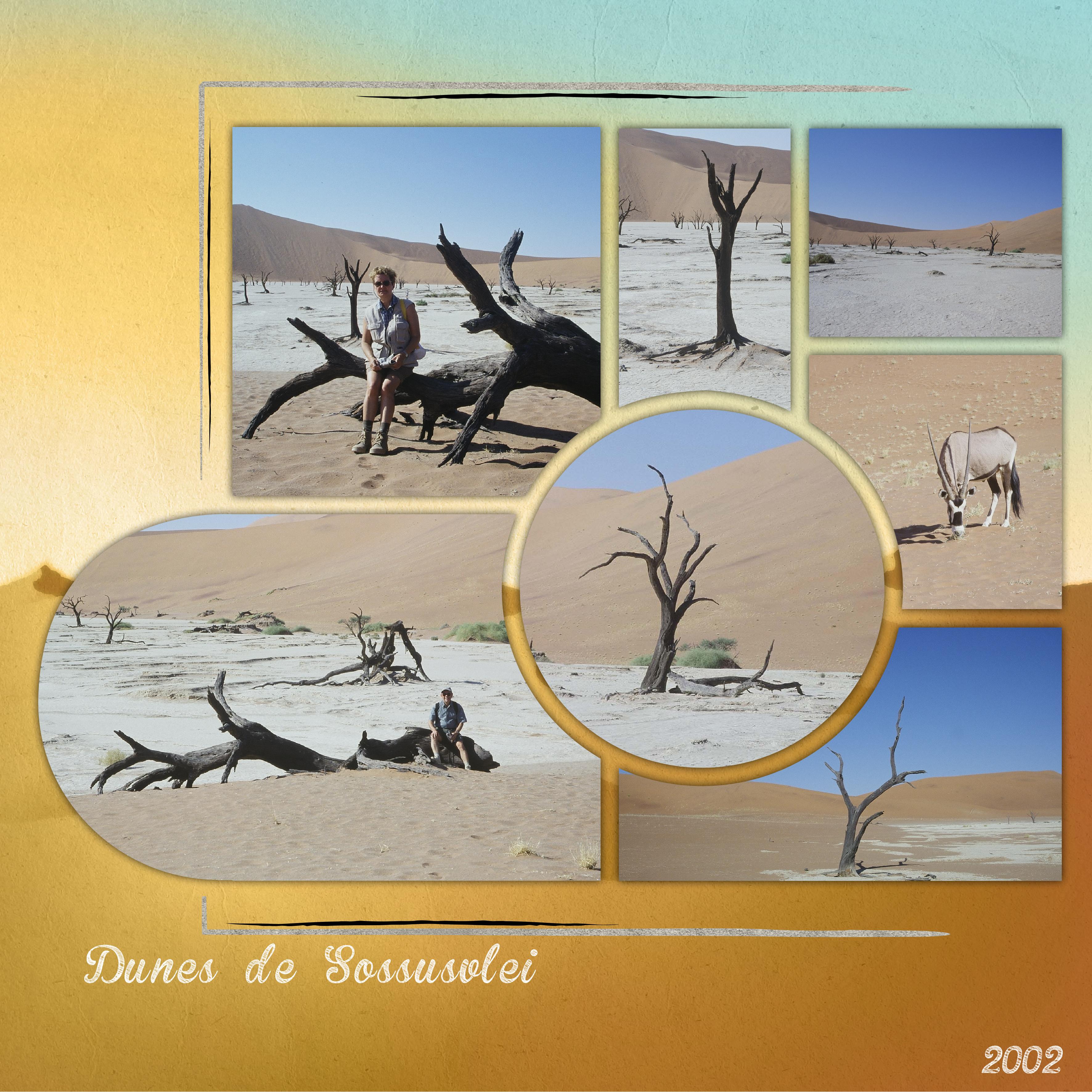 08 10 2021 Bois (page 4).jpg