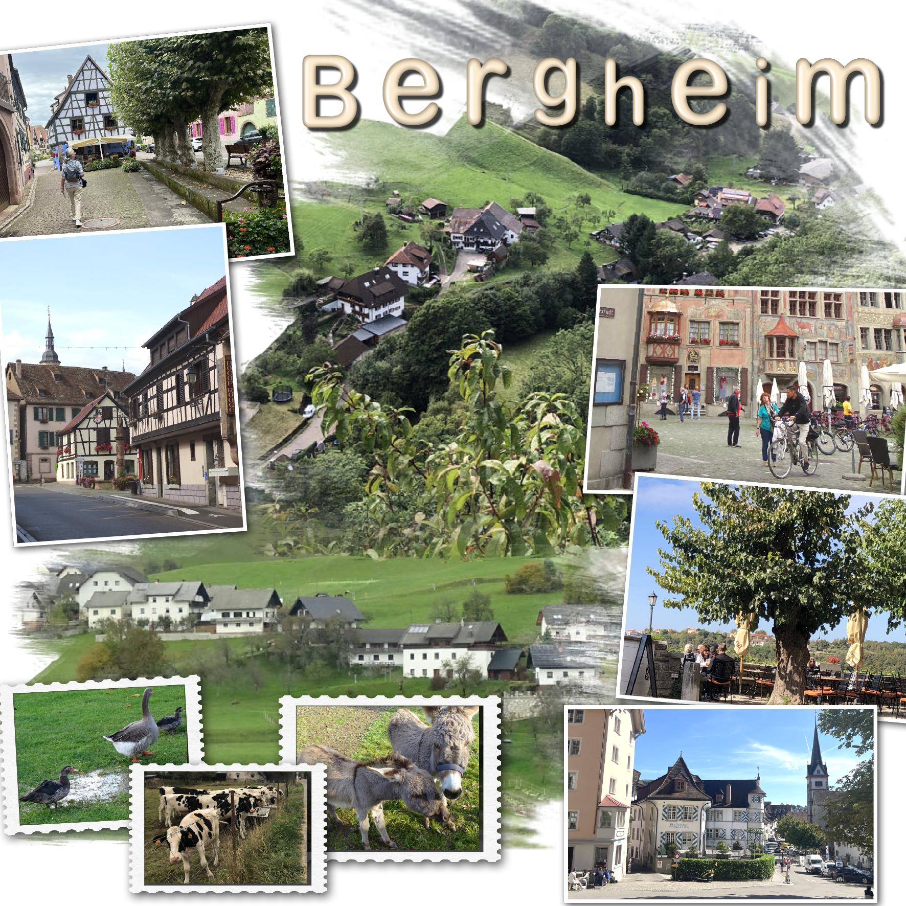 - 08 village.jpg