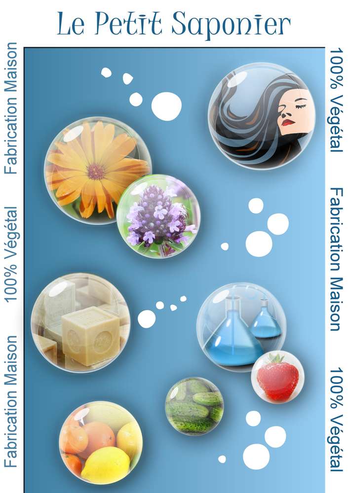 1-AFFICHE - LE  PETIT SAPONIER