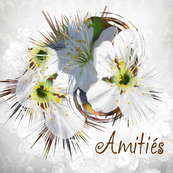 1-AMITIES