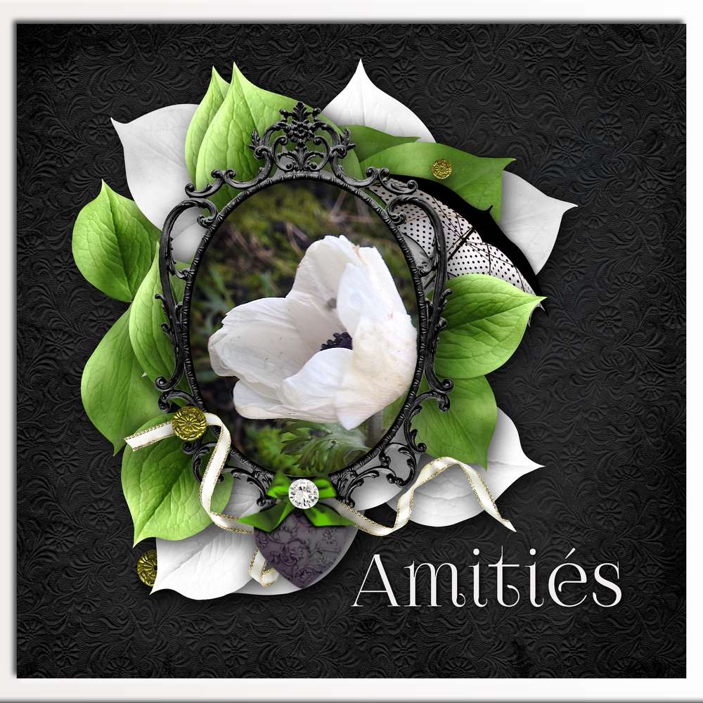 1-AMITIES