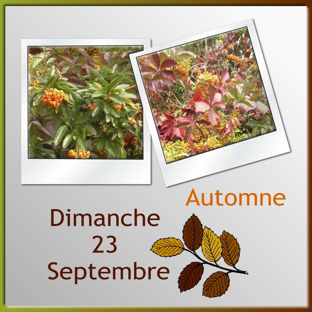 1-AUTOMNE