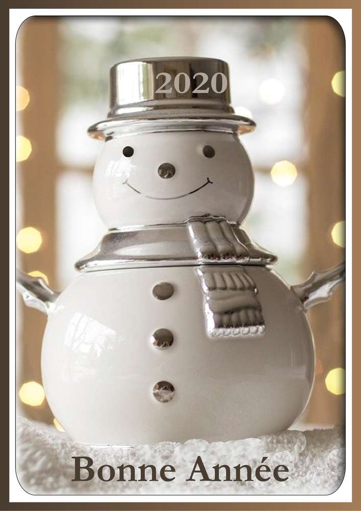 1-BONNE ANNEE 2020