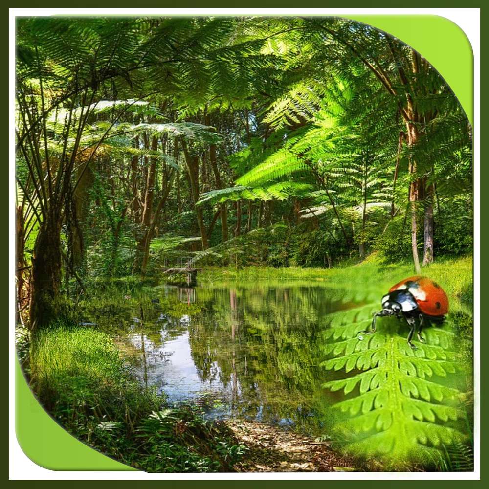 1-CHALLENGE - CINEMA