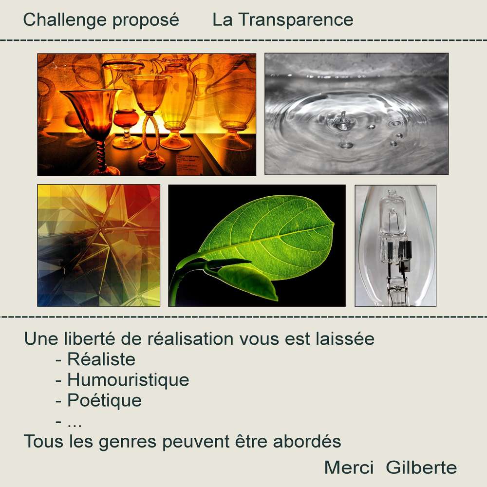 1-CHALLENGE - LA TRANSPARENCE