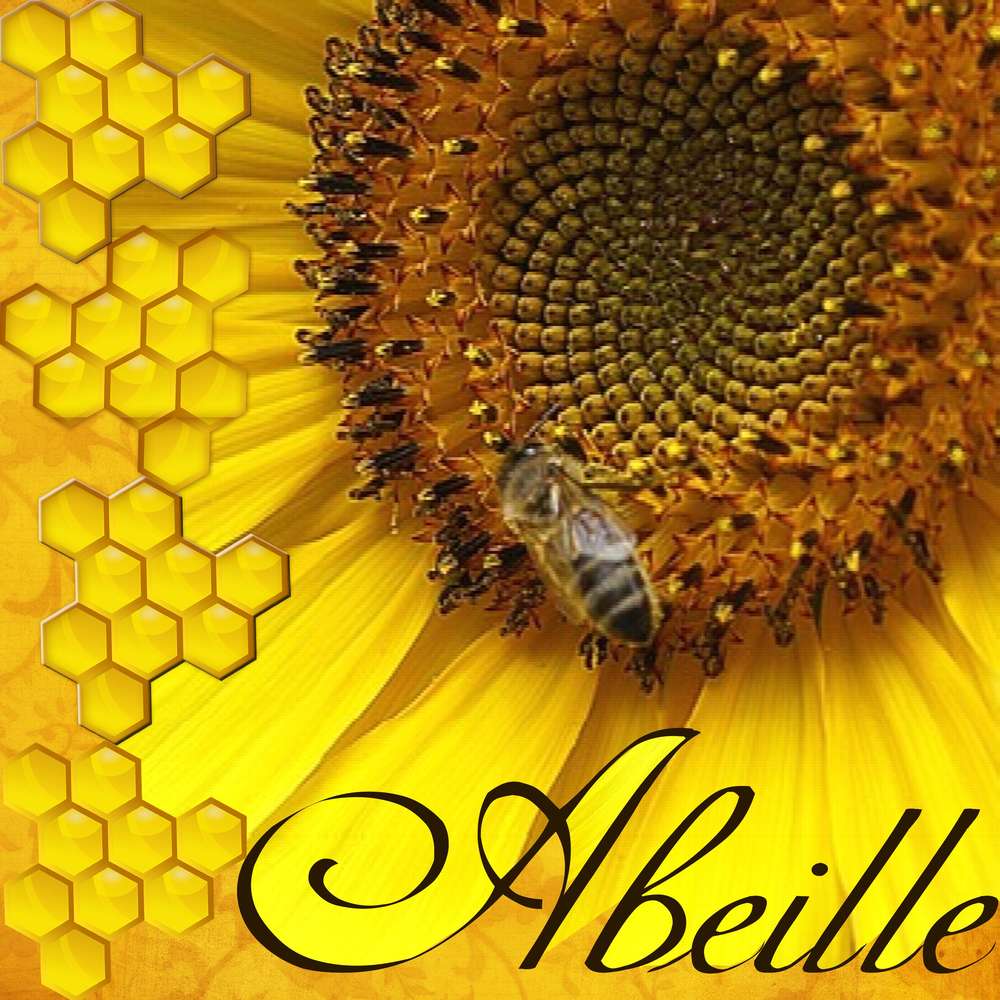 1-CHALLENGE PRINTEMPS - ABEILLE