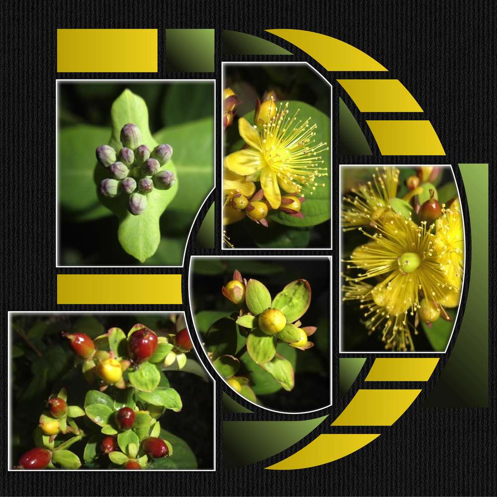 1-CHALLENGE PRINTEMPS - CA POUSSE