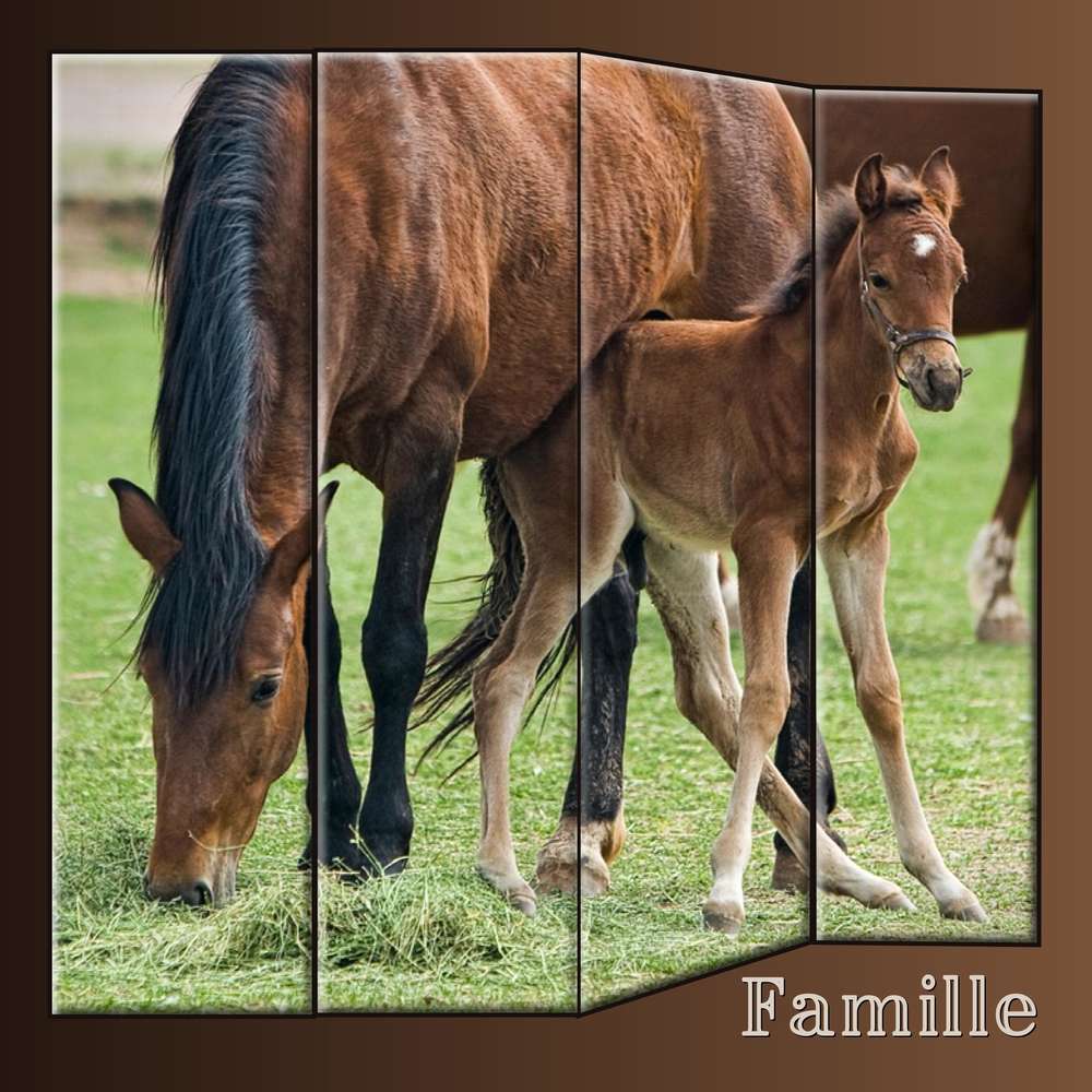 1-CHALLENGE PRINTEMPS - FAMILLE