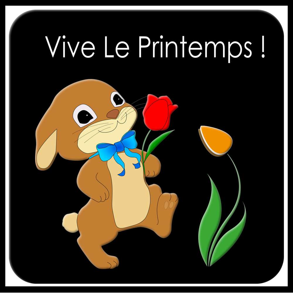 1-CHALLENGE PRINTEMPS - LAPIN