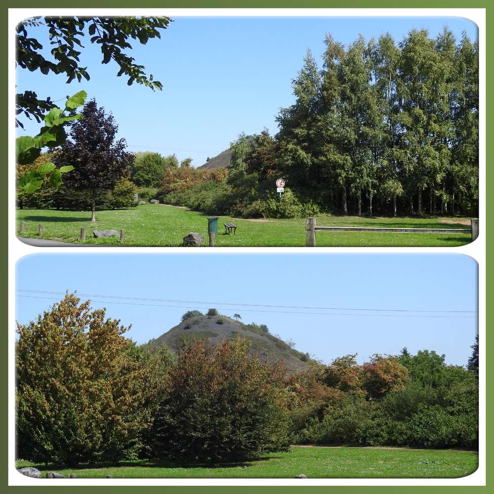 1-CHALLENGE PRINTEMPS - PAYSAGE