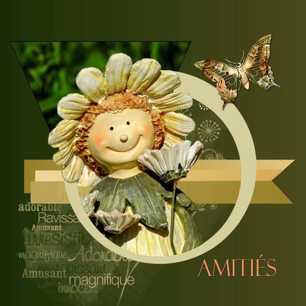 1-CHALLENGE REDACTION - CREATION AMITIES