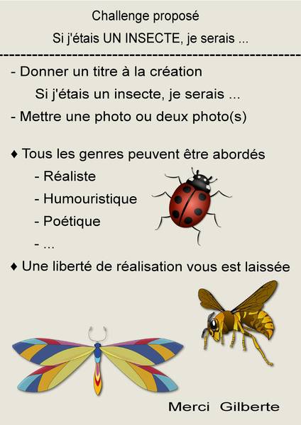1-CHALLENGE - SI J'ETAIS UN INSECTE  JE SERAIS