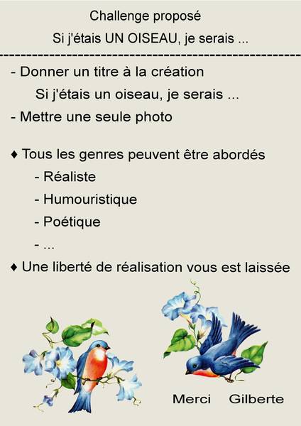 1-CHALLENGE -- SI J'ETAIS UN OISEAU - JE SERAIS