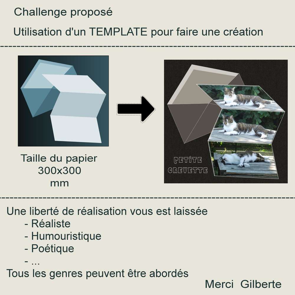 1-CHALLENGE UTILISATION D'UN TEMPLATE POUR FAIRE UNE CREATION