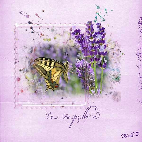 1- Défi Laurette S30 Le Papillon