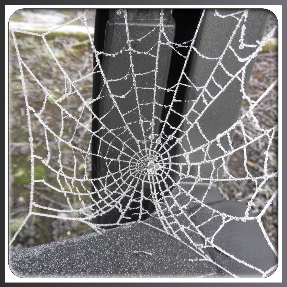 1-DENTELLE PERLEE DU MATIN