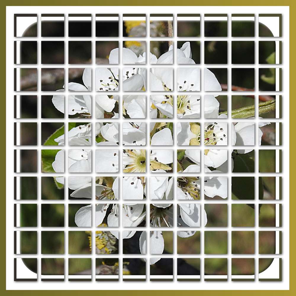 1-DEVOIR DE VACANCES - LE THEME DES MOSAIQUES