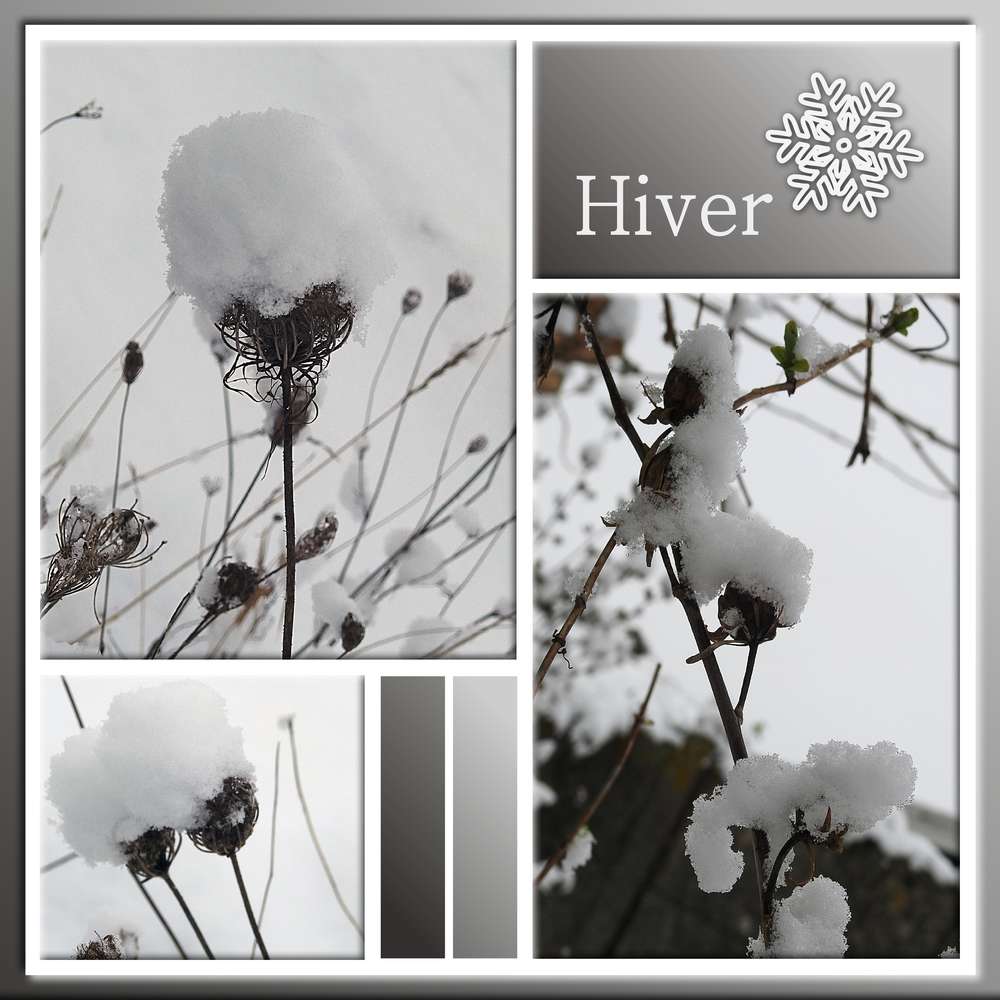 1-HIVER