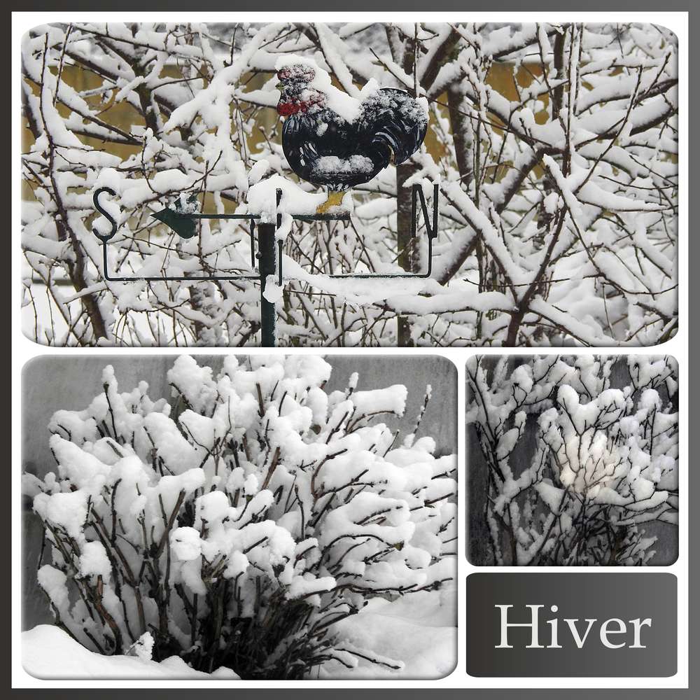 1-HIVER