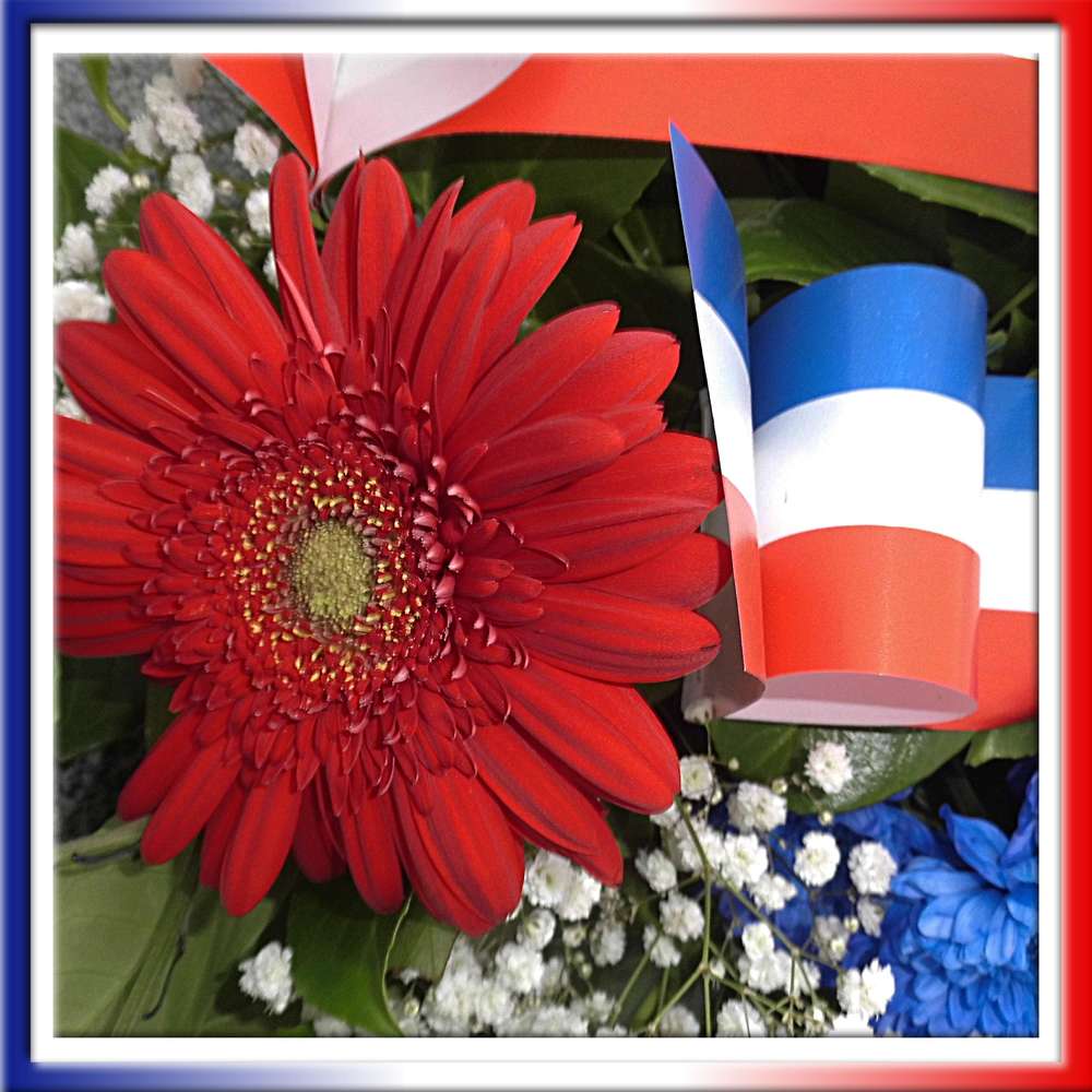 1-HOMMAGE - 11 NOVEMBRE 1918 UN ARMISTICE MET FIN A LA GRANDE GUERRE