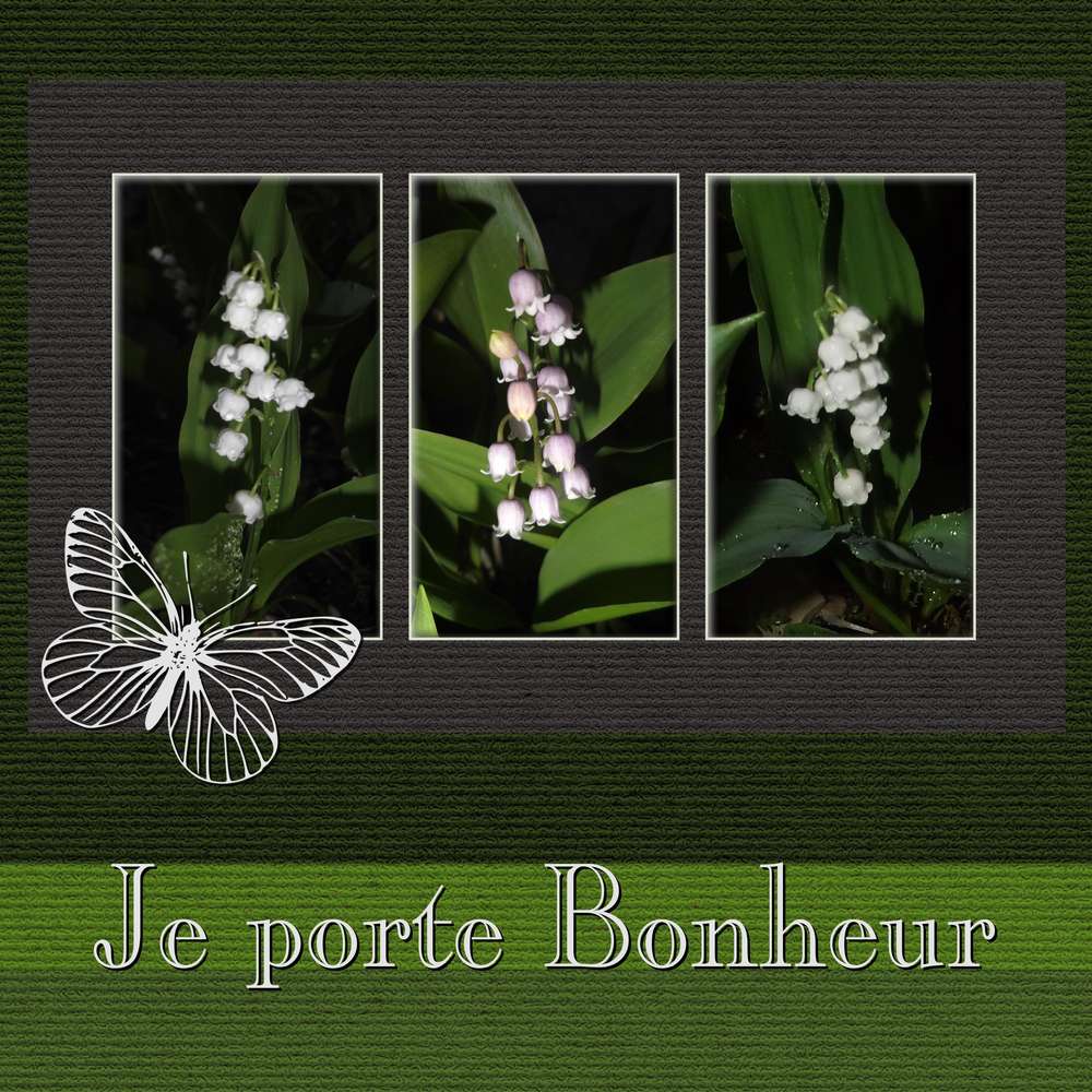 1-JE PORTE BONHEUR