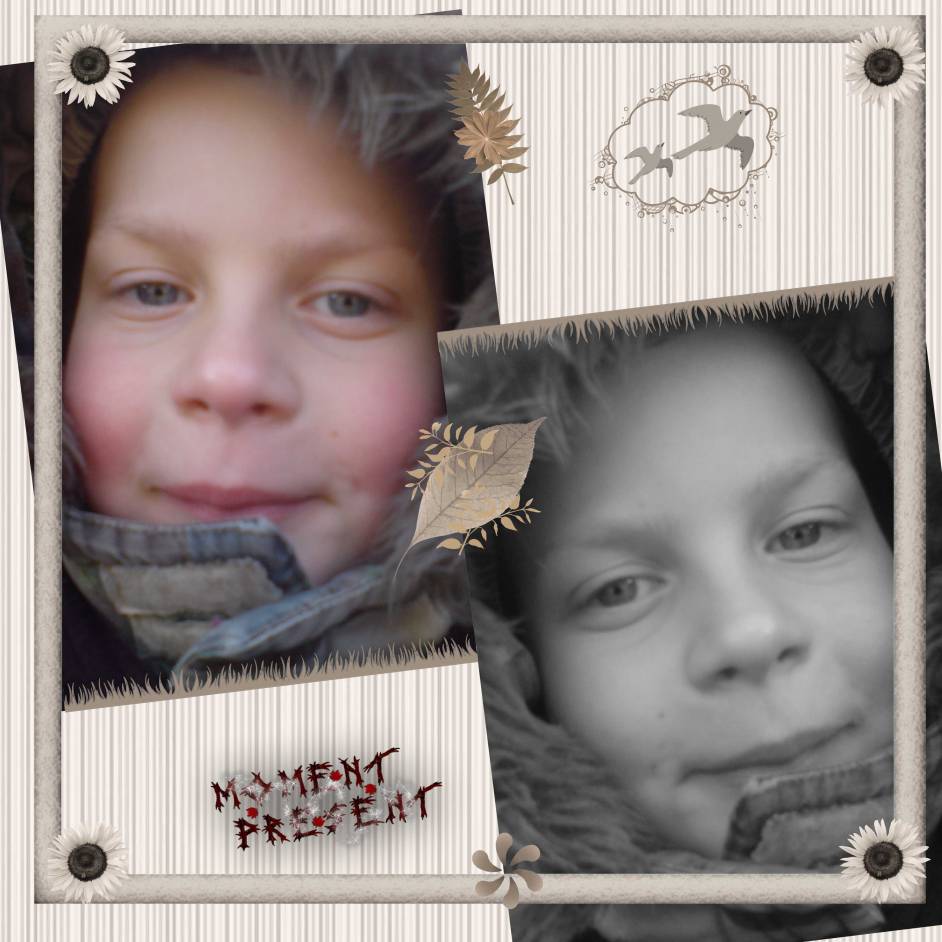 1 jour à bellewaerde dans le froid  d'un 19.12.08mais très bonne journée en