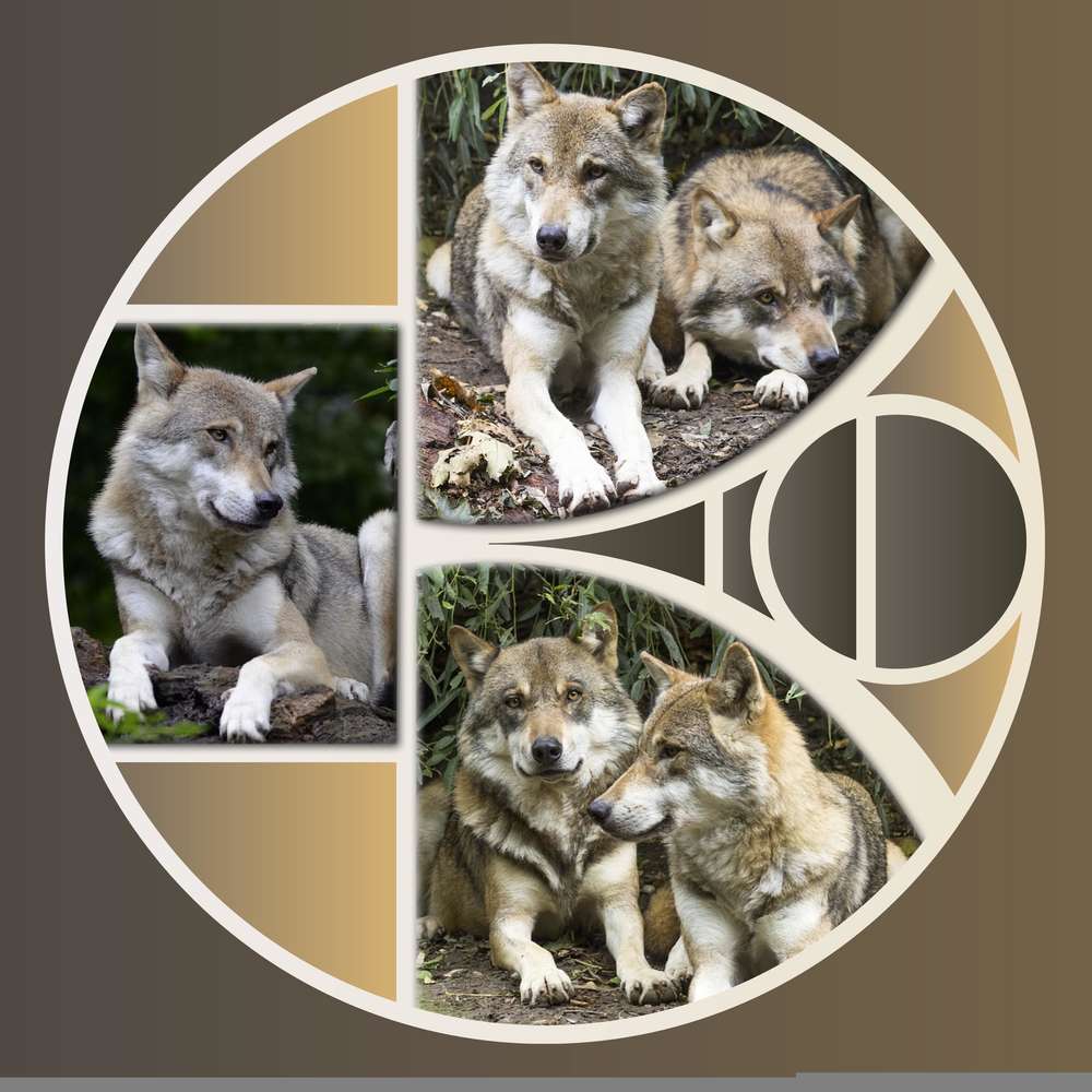 1-LOUP - LE SCRAPTOBER : CHALLENGE DU MOIS D'OCTOBRE