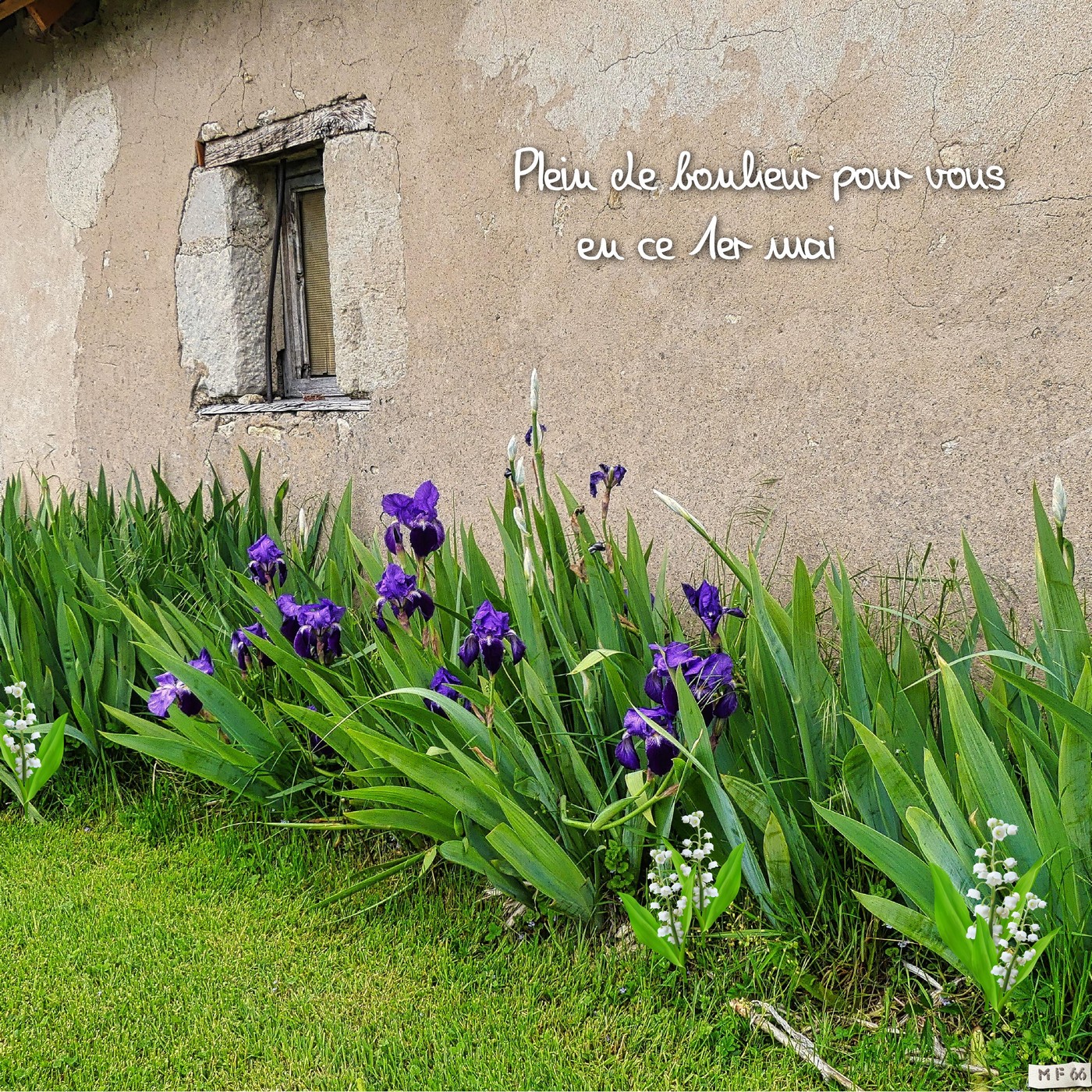 1 mai 2023 Auvergne.jpg