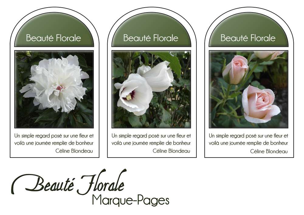 1-MARQUE-PAGES - BEAUTE FLORALE