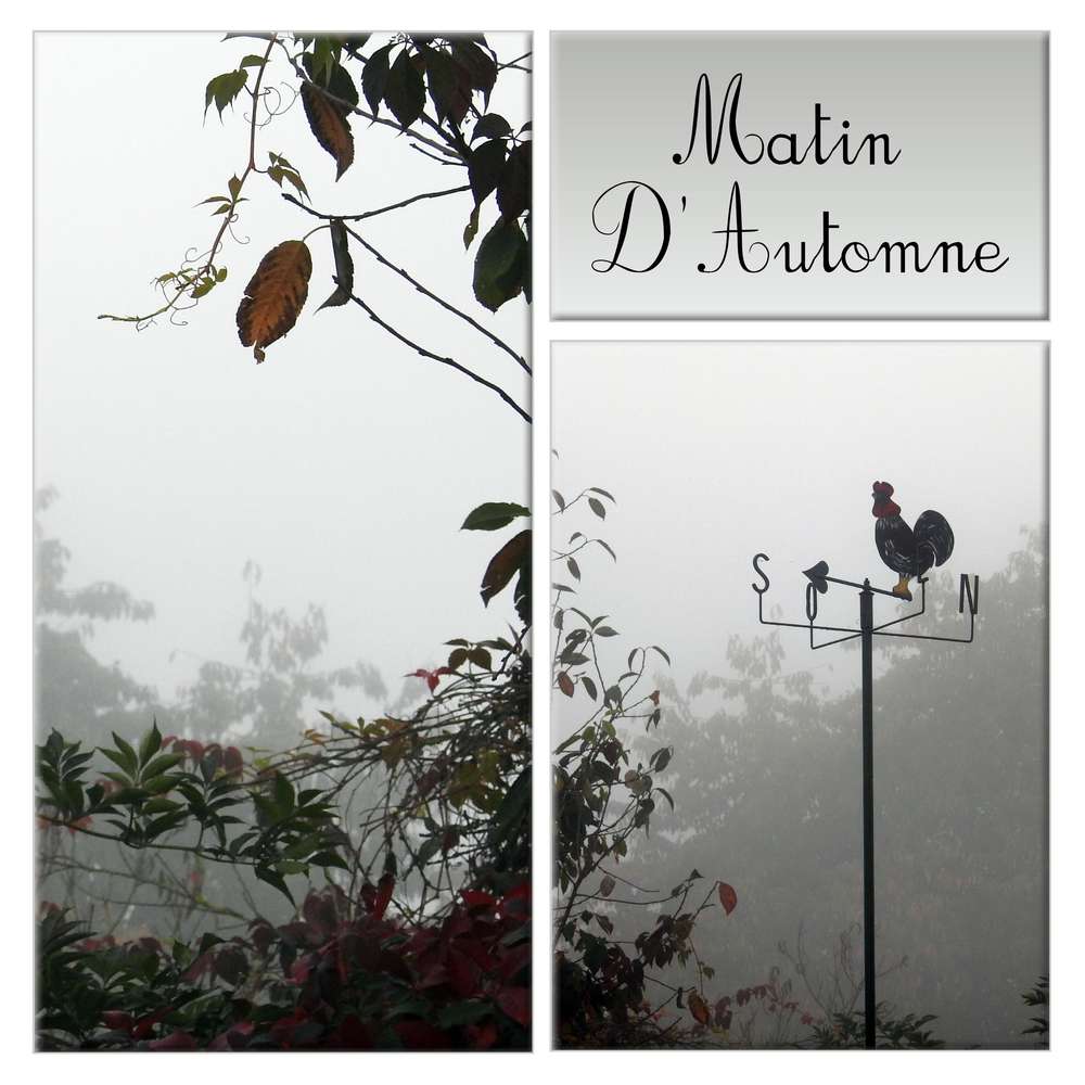 1-MATIN D'AUTOMNE