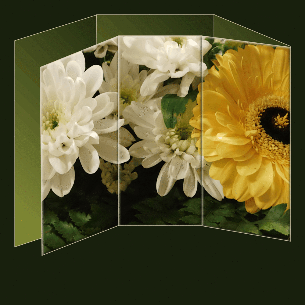 1-MEILLEURS VOEUX 2018