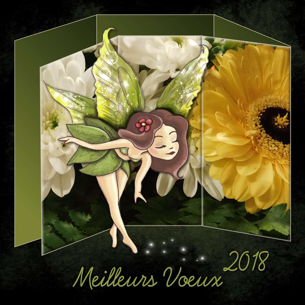 1-MEILLEURS VOEUX 2018