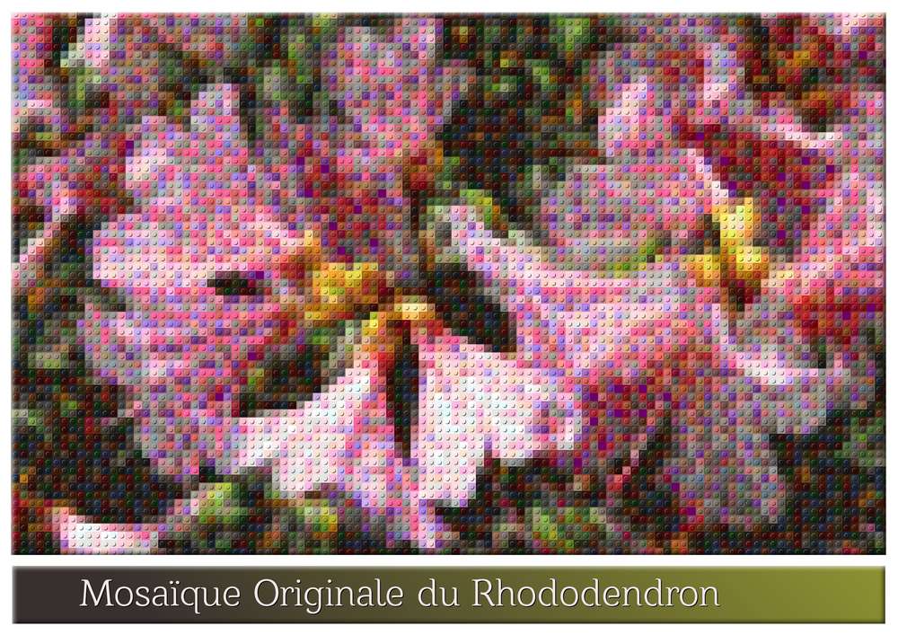 1-MOSAIQUE ORIGINALE DU RHODODENDRON