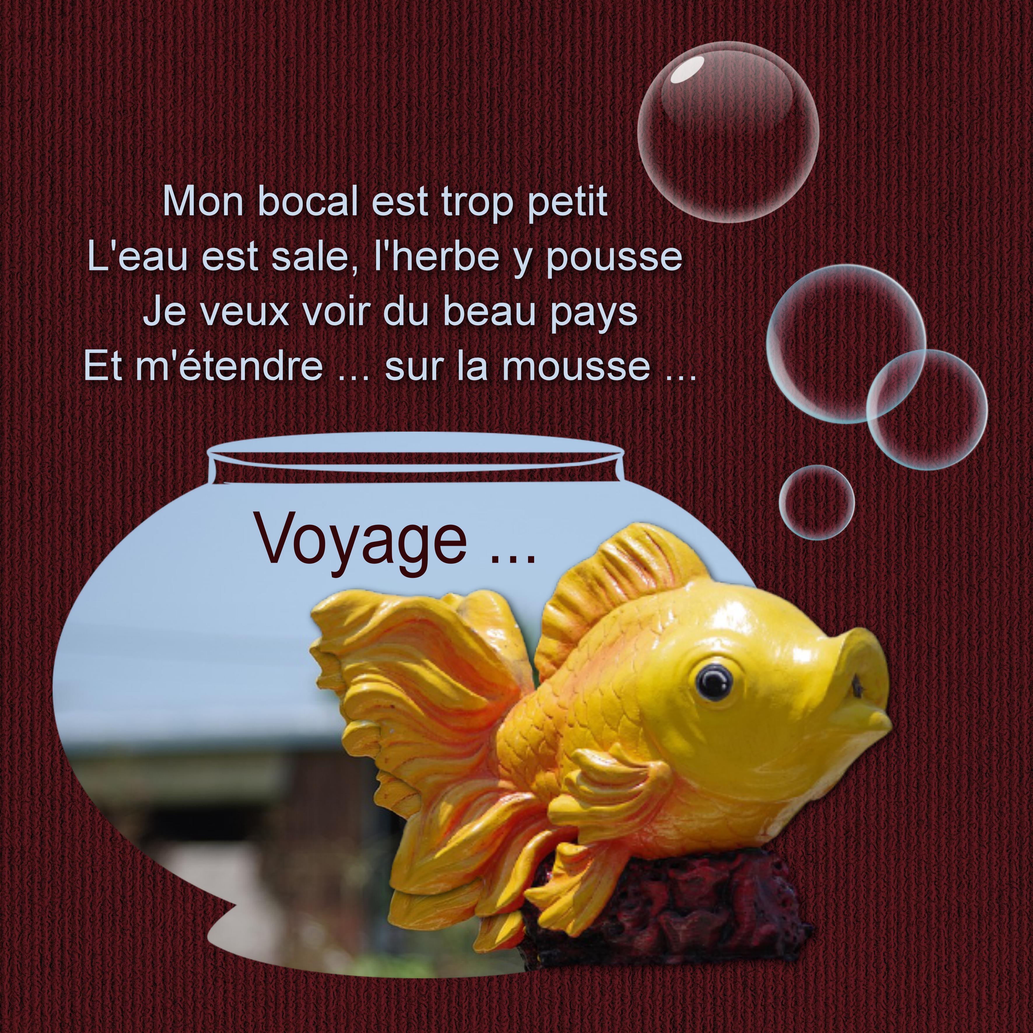 1-POISSON - LE SCRAPTOBER : CHALLENGE DU MOIS D'OCTOBRE