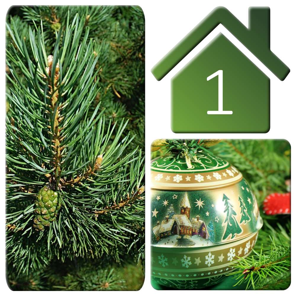 1-SAPIN - LE CALENDRIER DE L'AVENT - (2)