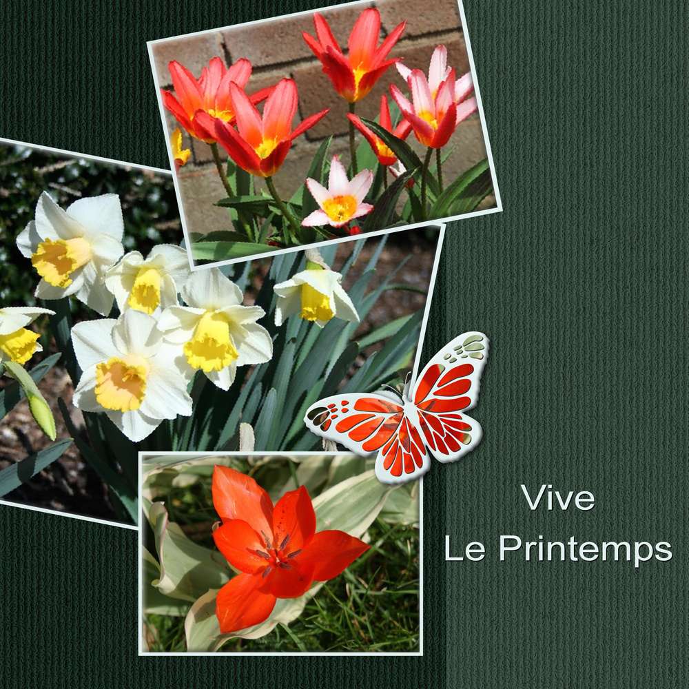 1-VIVE LE PRINTEMPS