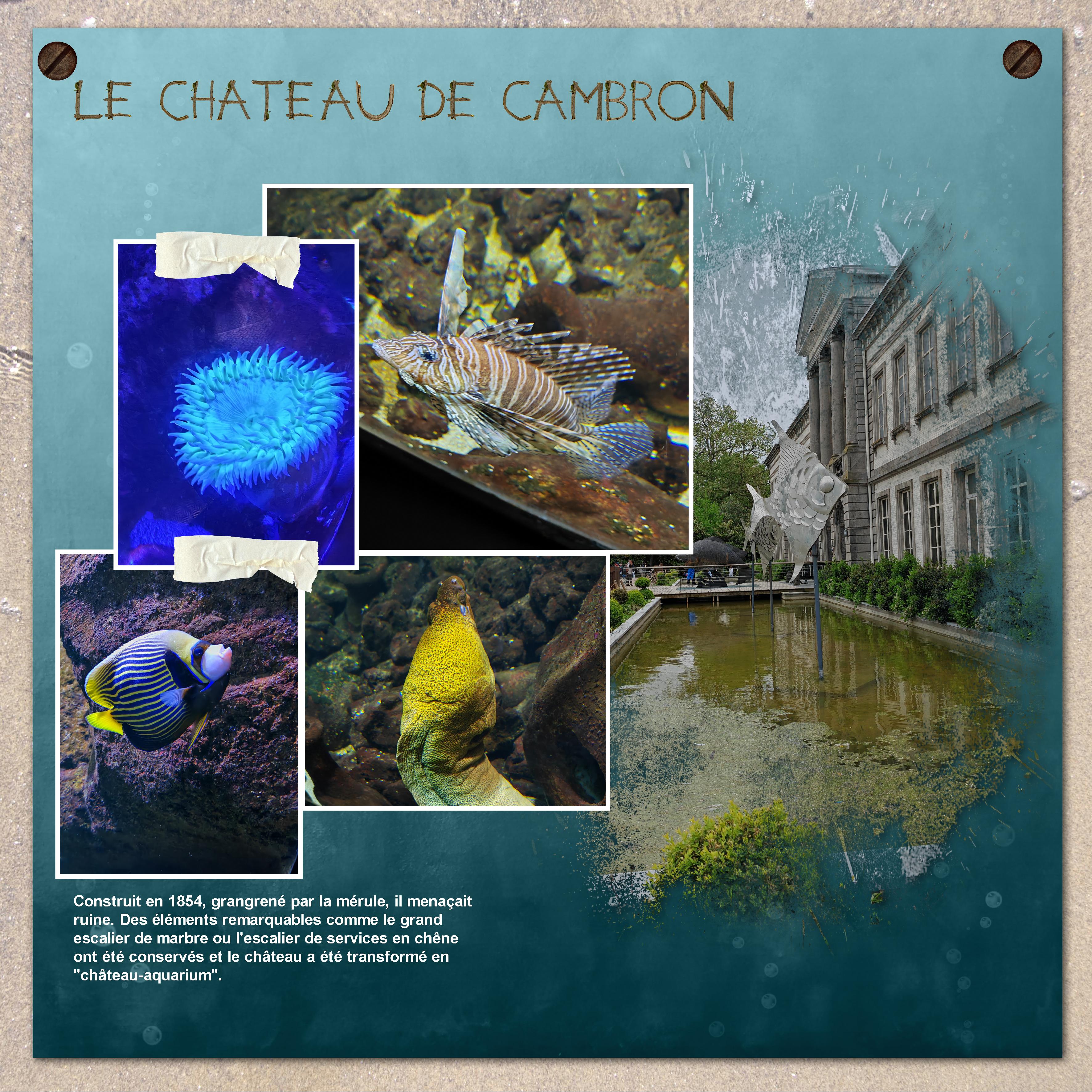 10 07 2023 (page 2).jpg