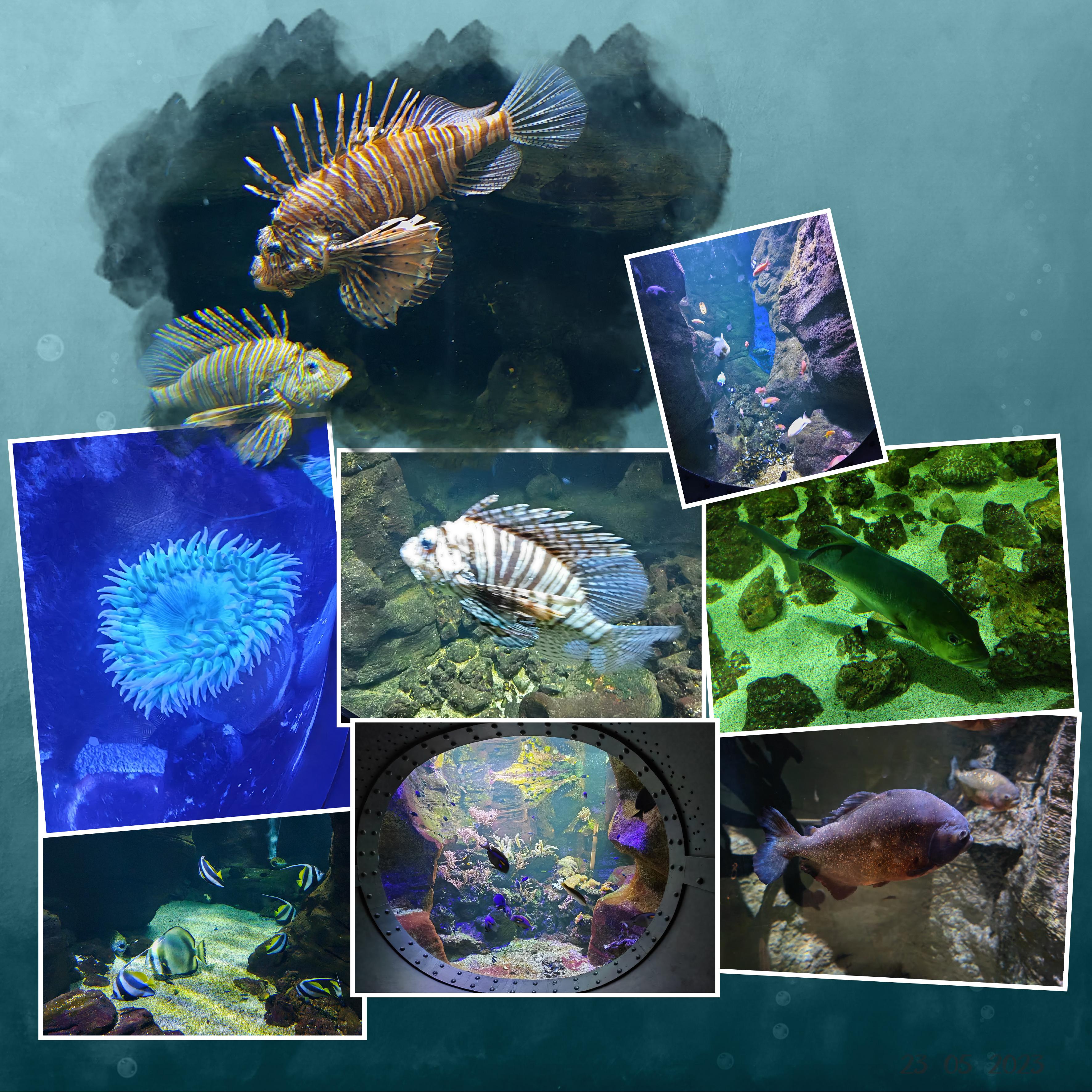 10 07 2023 (page 3).jpg