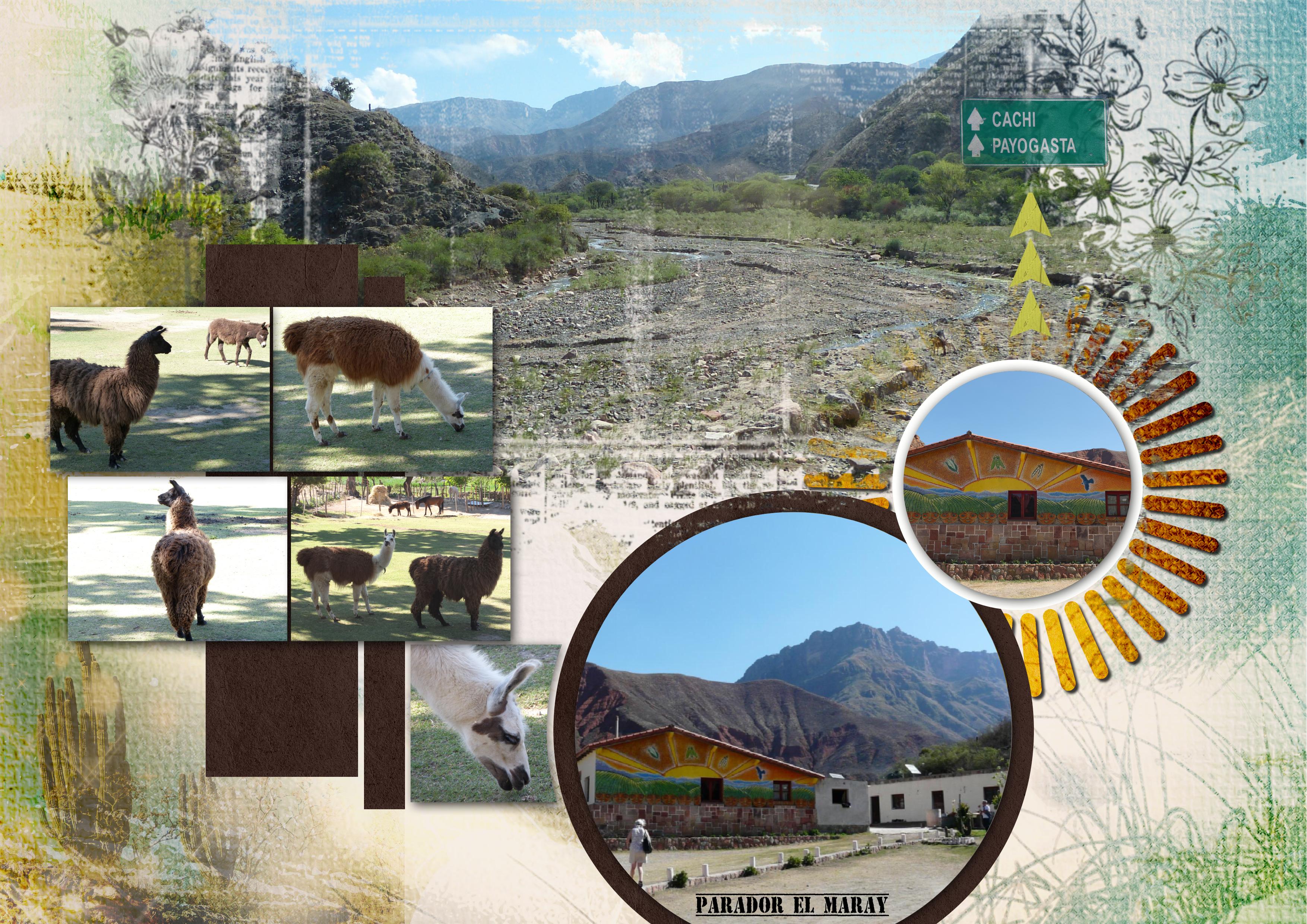 10 ARGENTINE Parador el maray.jpg