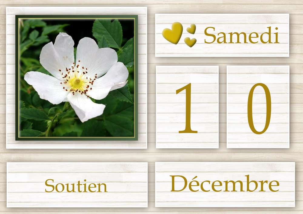 10-CALENDRIER DE L'AVENT - 10 DECEMBRE