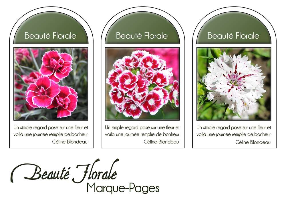 10-MARQUE-PAGES - BEAUTE FLORALE