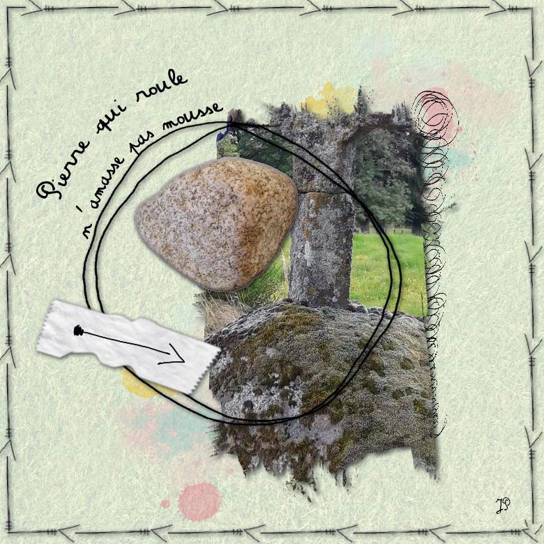 10 mousse pierre qui roule....jpg