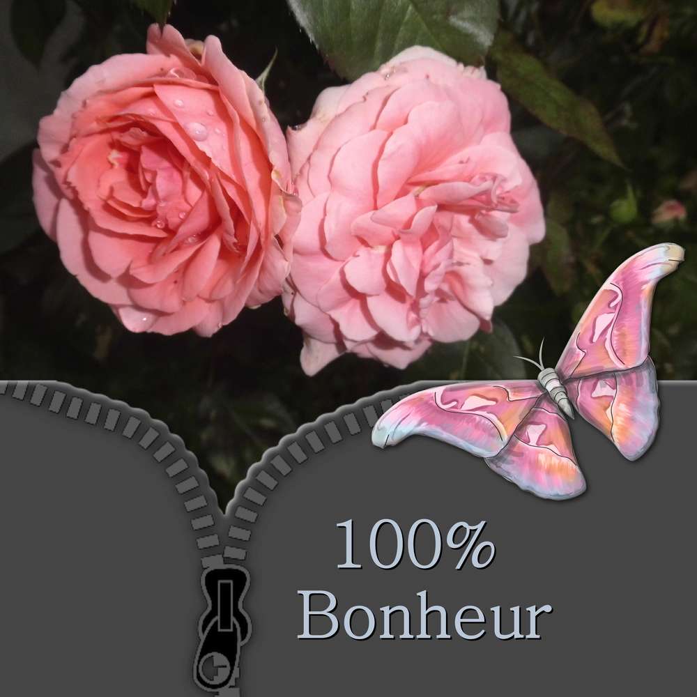100% BONHEUR