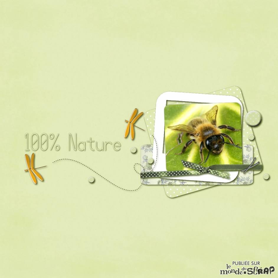 100%nature