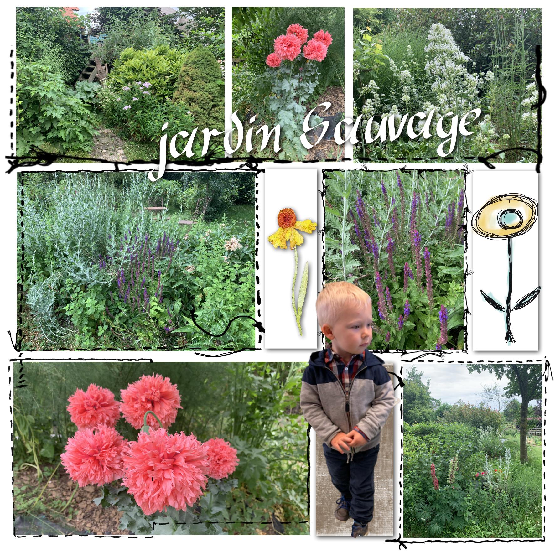 100 p 100 nature.jpg