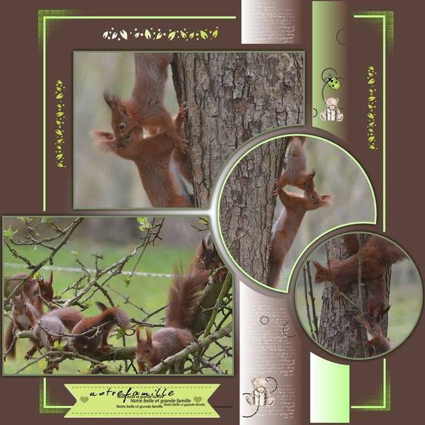 10001396_679279725465964_1246495842_n